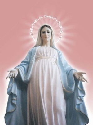 Image Image