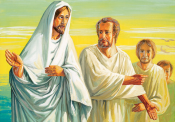 Image Image