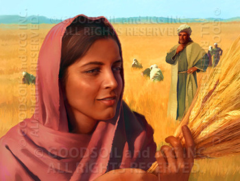 Image Image